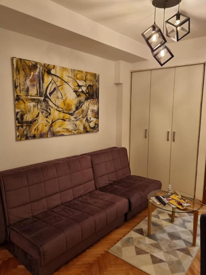 Apartman Veselinovic Free PARKING Vranje Buitenkant foto