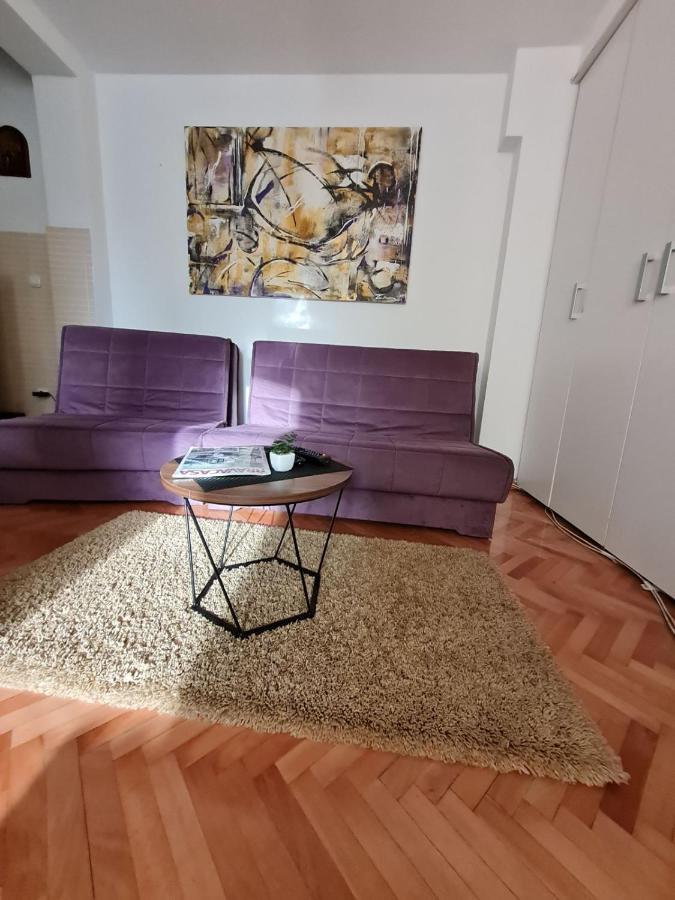 Apartman Veselinovic Free PARKING Vranje Buitenkant foto