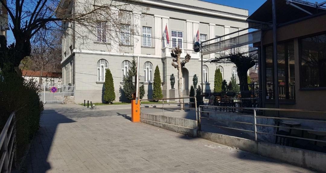 Apartman Veselinovic Free PARKING Vranje Buitenkant foto