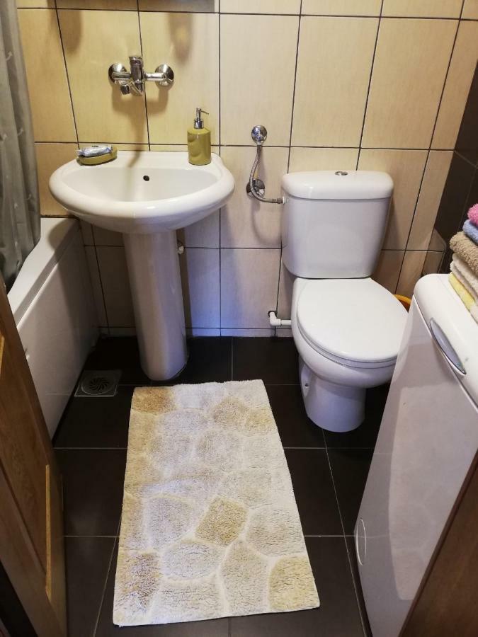 Apartman Veselinovic Free PARKING Vranje Buitenkant foto